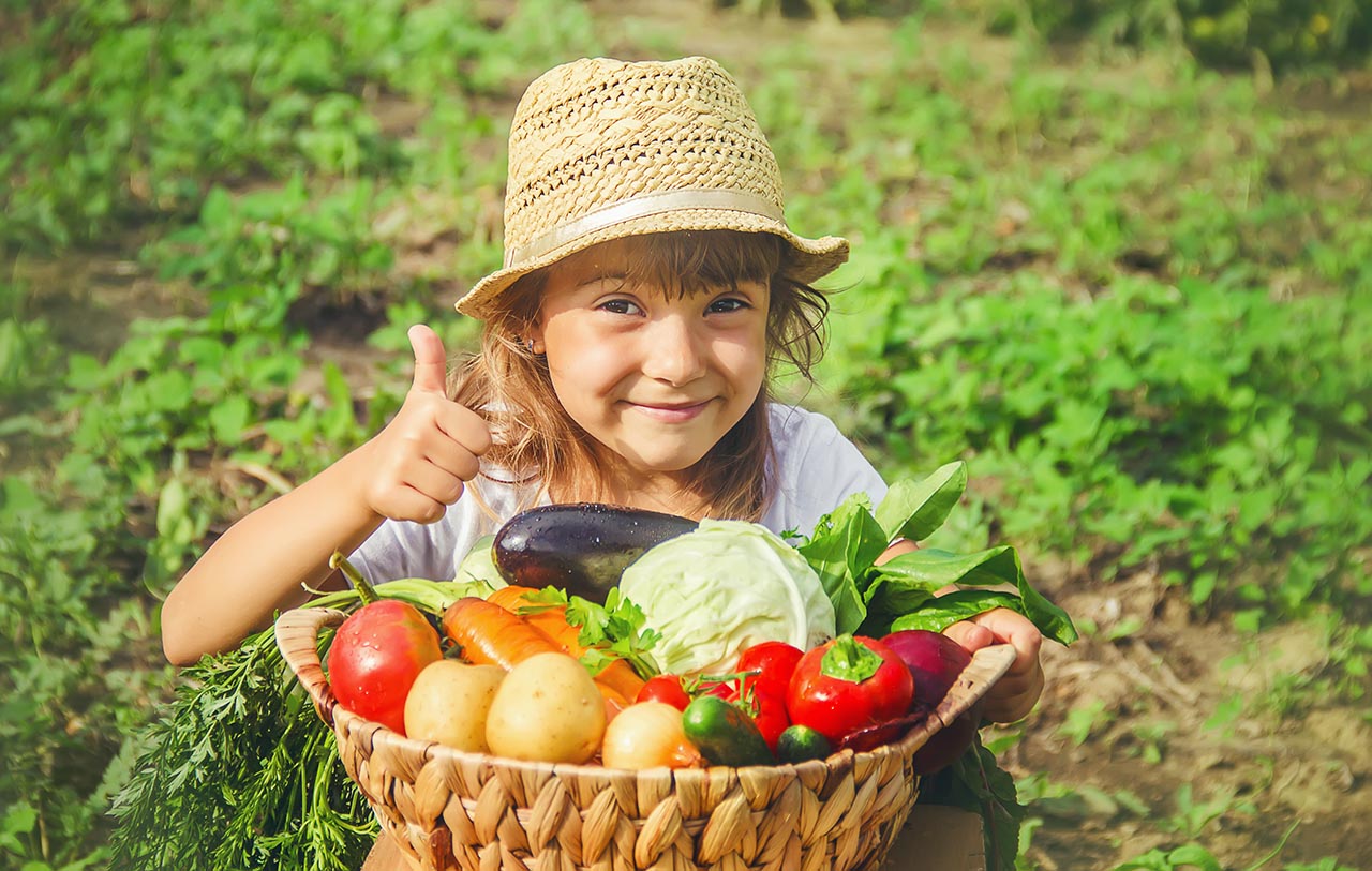 A child in the vegetable garden. Selective focus.